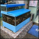 여자수산 이미지