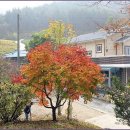 온다네민박 이미지