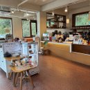 카페모테이 | [경기] 백운호수 카페모테이, 내돈내산 실망후기
