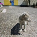 도화치안센터 이미지