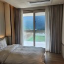 소노펠리체 델피노 이미지