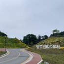 광주광역시 시립수목원 A동 | [광주] 가볼만한곳 산책하기 좋은 곳 시립 수목원 방문 후기