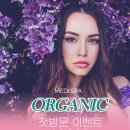 포레스트스킨앤바디 이미지