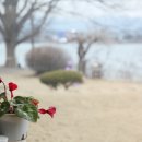 미스타페오 이미지