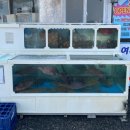 레인보우 | 여수 회 맛집ᅵ[레인보우 횟집] 방문 후기!