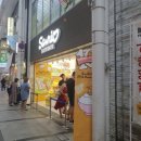 레인보우여행사주 이미지