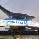 주문진회집 | 강릉 주문진 일출횟집 대게 회 세트 포장 후기