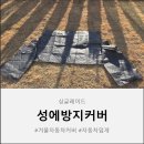 효도얼음집 | 겨울철 성에 걱정 끝 싱글레이드 자동차커버로 완성한 시골집 효도 선물 사용후기