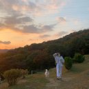 #친환경라이프스타일 #위잉챌린지 #WE_ING