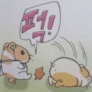 마지막고일!!