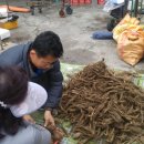 언양알프스시장 이미지