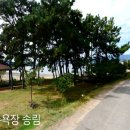 장선포2 이미지