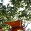 중문진실캠핑장 이미지