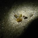 남해-317 이미지