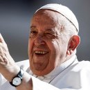 형제 태양광발전소 이미지