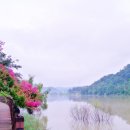 로하우스 이미지