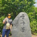 천마산 중구봉 | [인천,등산] 계양산 등산! 장미원-중구봉-천마산-정상-피고개산-말등매이산-원점회귀 당일치기 등산 후기!
