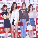 로마의휴일 스타데일리뉴스 