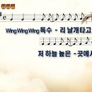 [PPT악보] 윙윙윙 / Wing Wing Wing 독수리 [2011년 예장합동여름성경학교] 이미지