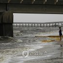 BOOM WASH 이미지