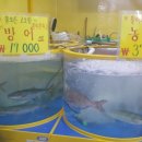 광어두마리만오천원