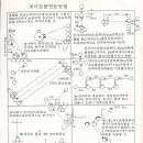 게이트볼연습방법 이미지