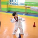 더원태권도 이미지