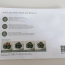 쑥떡쑥떡떡집