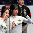 에스와이 이미지