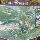 코스 이미지