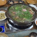 신성식당 이미지