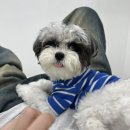 원미로124번길 이미지