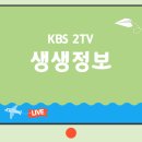 2451 | KBS 2TV [생생정보] 2451회 SNS 화제 영상 ‘조회 수 103만 뷰, 이색 꽈배기’ 내용과 가게 소개
