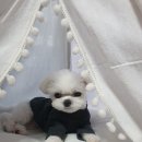복음간병인협회 이미지
