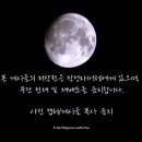 송강재래시장 | 웹툰 원작 드라마 추천 넷플릭스 티빙 웨이브