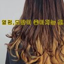 머릿결 회복 파마 후 모발 환생 파마환생 복구클리닉 개발한 김송정 원장 이미지