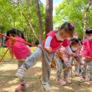 새들유치원 이미지