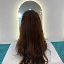 하디헤어 - 강서구 마곡동로10길 46 | 하디헤어