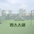 강성호반려견스쿨(수원점) | 수원 애견유치원 한국애견연맹 지정훈련소ㅣ1급 애견...셔틀버스 운영 가능 : 멍스스쿨 유치원 1일권 후기
