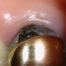 덴토피아치과의원 이미지