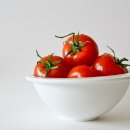 단마토유통 | 스테비아토마토(단마토) 다이어트 후기, 칼로리 및 주의사항