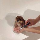 하나동물병원 이미지