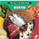 포화'불포화'트랜스지방 제대로 알고 먹자 이미지