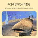 해양사 | 부산 실내 아기랑 바다생물을 볼 수 있는 부산해양자연사박물관 방문 후기