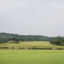 시그너스CC(대중제) 이미지