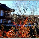 은평-006 이미지