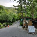 영주스포렉스 이미지