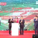 중부야채 이미지