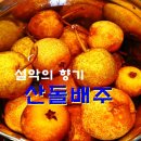 새순영농조합법인 이미지
