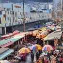 자갈치시장 이미지